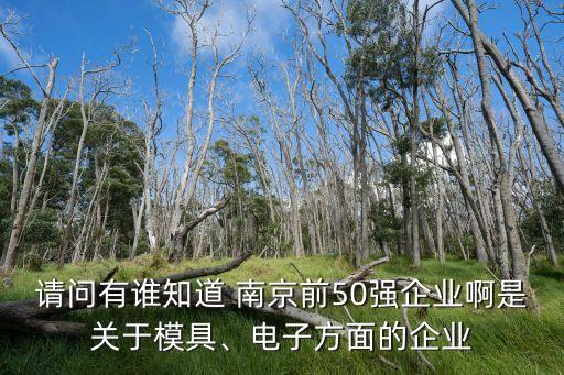 請問有誰知道 南京前50強企業(yè)啊是關(guān)于模具、電子方面的企業(yè)