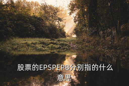  股票的EPSPEPB分別指的什么意思