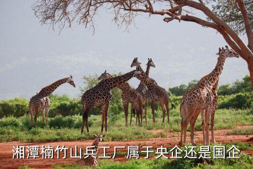 廈門(mén)紅旗山集團(tuán)股份有限公司,陜西紅旗民爆集團(tuán)股份有限公司招聘