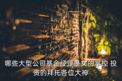 哪些大型公司基金經(jīng)理是女的掌控 投資的拜托各位大神