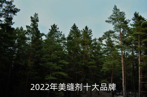 2022年美縫劑十大品牌