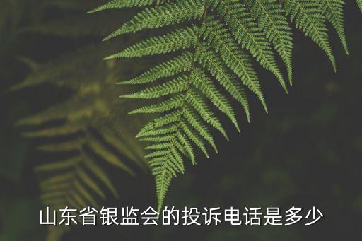 關(guān)于銀行業(yè)特殊消費群體金融服務(wù)