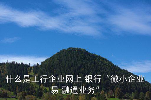 什么是工行企業(yè)網(wǎng)上 銀行“微小企業(yè)易 融通業(yè)務(wù)”