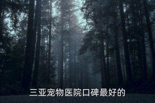 三亞寵物醫(yī)院口碑最好的