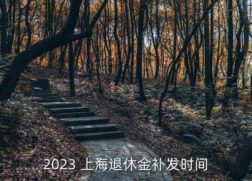 2023 上海退休金補(bǔ)發(fā)時(shí)間