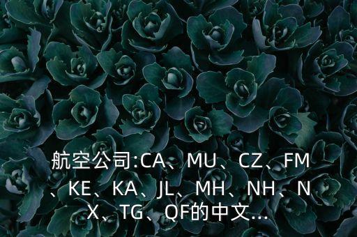  航空公司:CA、MU、CZ、FM、KE、KA、JL、MH、NH、NX、TG、QF的中文...