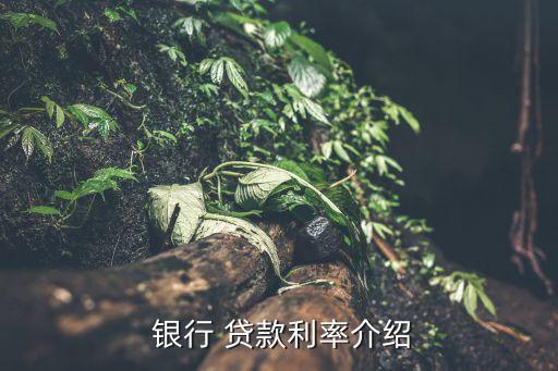  銀行 貸款利率介紹