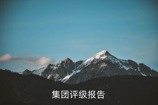 杉杉集團(tuán)評(píng)級(jí)報(bào)告