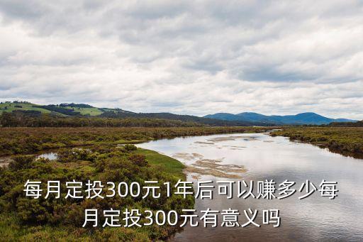 每月定投300元1年后可以賺多少每月定投300元有意義嗎