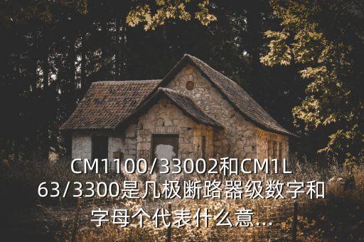 CM1100/33002和CM1L63/3300是幾極斷路器級(jí)數(shù)字和字母?jìng)€(gè)代表什么意...