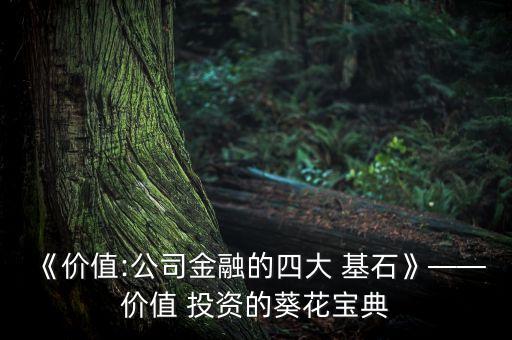 《價值:公司金融的四大 基石》——價值 投資的葵花寶典