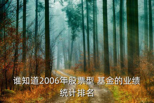 誰知道2006年股票型 基金的業(yè)績統(tǒng)計(jì)排名