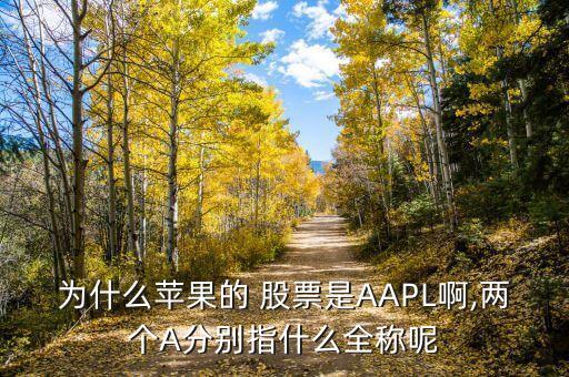 為什么蘋(píng)果的 股票是AAPL啊,兩個(gè)A分別指什么全稱呢