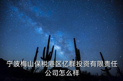  寧波梅山保稅港區(qū)億群投資有限責任 公司怎么樣