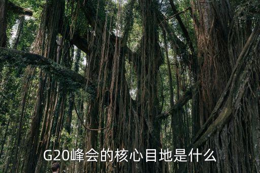 G20峰會的核心目地是什么