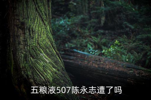  五糧液507陳永志遭了嗎