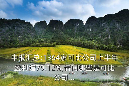 中報(bào)匯總:1364家可比公司上半年盈利增79.12%,請(qǐng)問(wèn)哪些是可比公司...