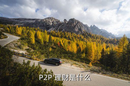 P2P 理財(cái)是什么