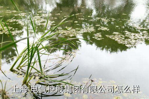  上海 電氣控股集團(tuán)有限公司怎么樣