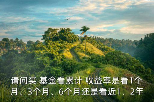 請問買 基金看累計 收益率是看1個月、3個月、6個月還是看近1、2年