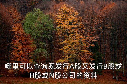 哪里可以查詢既發(fā)行A股又發(fā)行B股或H股或N股公司的資料