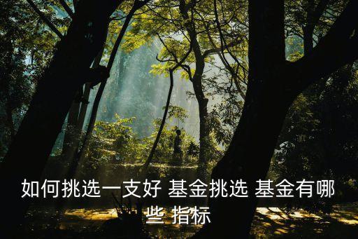 如何挑選一支好 基金挑選 基金有哪些 指標