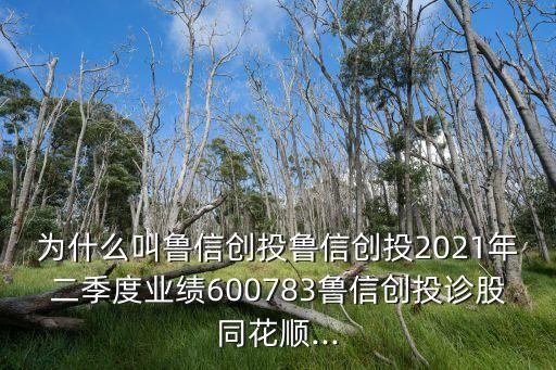 為什么叫魯信創(chuàng)投魯信創(chuàng)投2021年二季度業(yè)績600783魯信創(chuàng)投診股同花順...