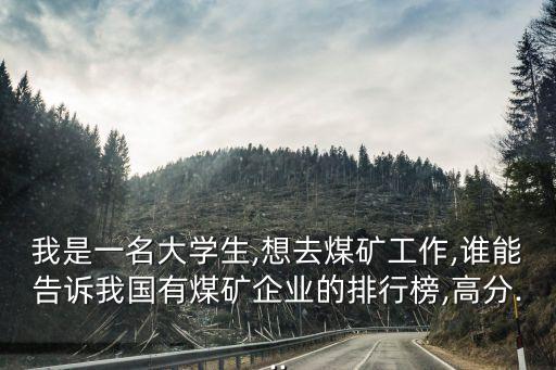 我是一名大學(xué)生,想去煤礦工作,誰能告訴我國有煤礦企業(yè)的排行榜,高分...