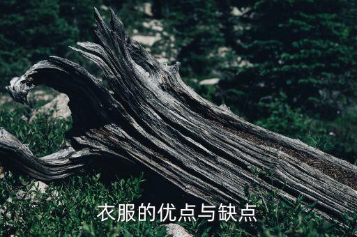 衣服的優(yōu)點(diǎn)與缺點(diǎn)