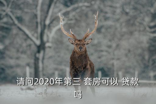 請(qǐng)問(wèn)2020年第三 套房可以 貸款嗎