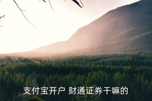 支付寶開戶 財通證券干嘛的