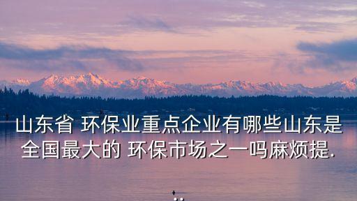 山東省 環(huán)保業(yè)重點企業(yè)有哪些山東是全國最大的 環(huán)保市場之一嗎麻煩提...