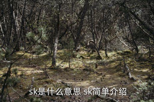  sk是什么意思 sk簡單介紹