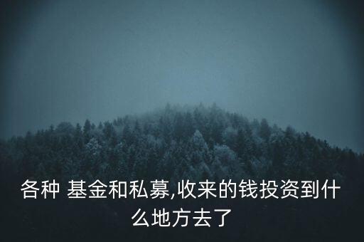 各種 基金和私募,收來(lái)的錢投資到什么地方去了