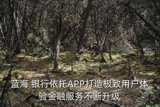 藍(lán)海 銀行依托APP打造極致用戶(hù)體驗(yàn)金融服務(wù)不斷升級(jí)