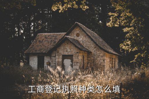 安利有限公司的營業(yè)執(zhí)照內(nèi)容怎么填,安利中國日用品有限公司營業(yè)執(zhí)照