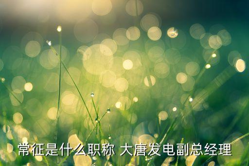 常征是什么職稱 大唐發(fā)電副總經(jīng)理