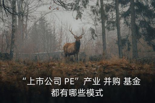 “上市公司 PE”產(chǎn)業(yè) 并購 基金都有哪些模式