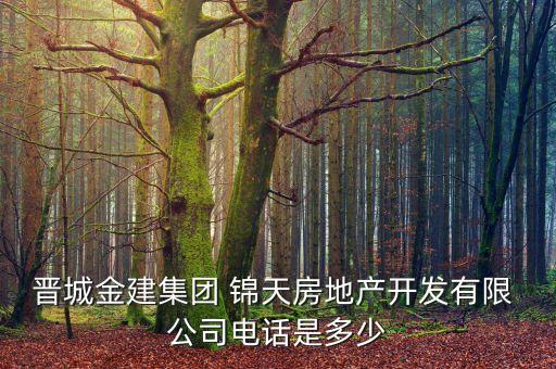 晉城金建集團 錦天房地產(chǎn)開發(fā)有限 公司電話是多少