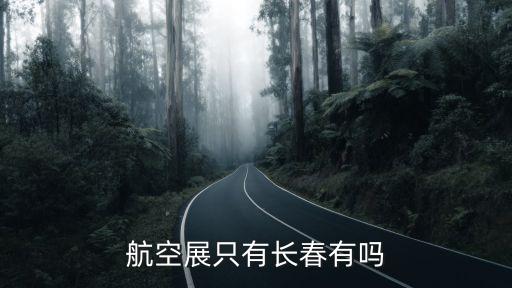 航空展只有長(zhǎng)春有嗎