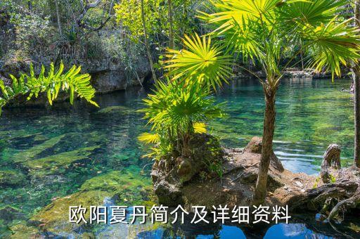 歐陽夏丹簡介及詳細(xì)資料