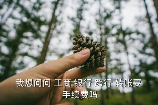 我想問問 工商 銀行 跨行 轉(zhuǎn)賬要 手續(xù)費(fèi)嗎