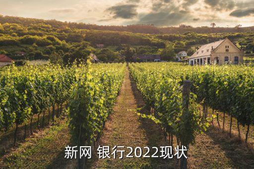 新網(wǎng) 銀行2022現(xiàn)狀