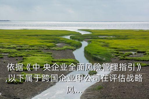 央企海外投資的盲目