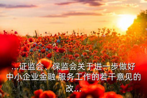 ...證監(jiān)會、保監(jiān)會關(guān)于進一步做好中小企業(yè)金融 服務(wù)工作的若干意見的改...