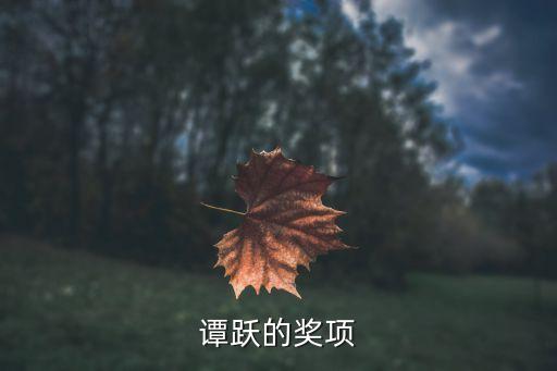 譚躍的獎項