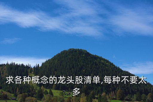 界龍實(shí)業(yè)公司