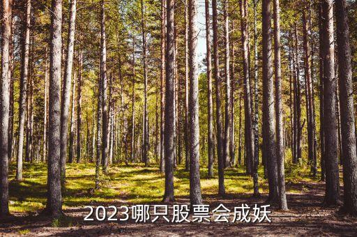 2023哪只股票會(huì)成妖