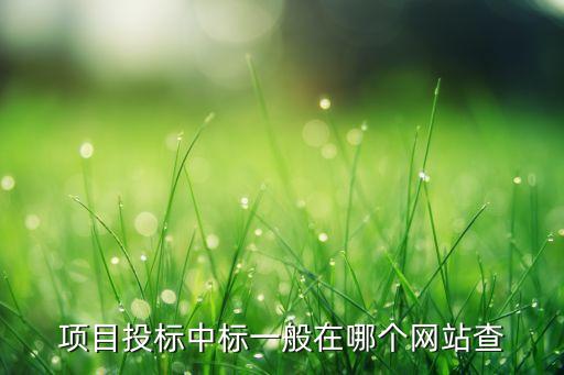 項(xiàng)目投標(biāo)中標(biāo)一般在哪個網(wǎng)站查