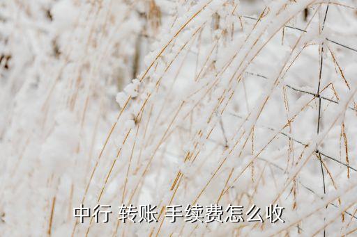 中行 轉(zhuǎn)賬 手續(xù)費怎么收